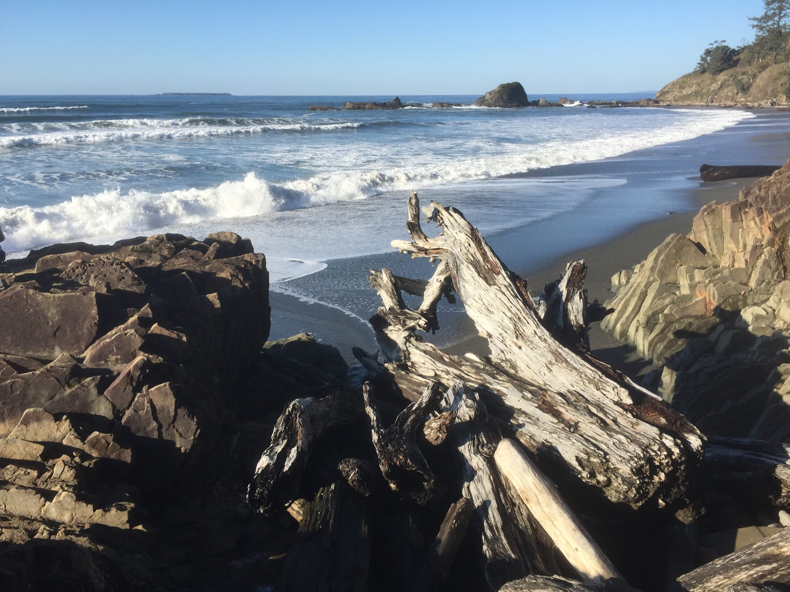 Image of a sandy beach on a sunny day with driftwood logs in the foreground.